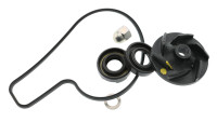 Reparatieset voor waterpomp KTM OEM