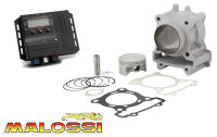 Zylinderkit 183cc & Tuning ECU Malossi Zylinderkit 183cc & Tuning ECU Malossi