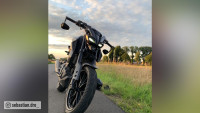 Achterdemper Radical Racing GP Carbon