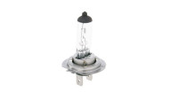 Birne Halogen Birne Halogen