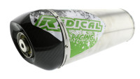 Auspuffanlage Radical Racing Inox Auspuffanlage Radical Racing Inox