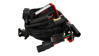 ECU-chiptuningmodule Racedynamics Powertronic V4