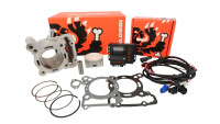 Cilinderkit & tuning-ECU Malossi 166 cc Force Master 2.1