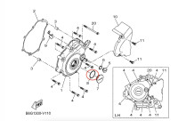 Afdichting bevestigingsschroef koppelingsbehuizing Yamaha OEM