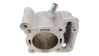 Cilinderkit & tuning-ECU Malossi 166 cc Force Master 2.1