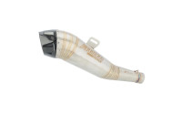 Uitlaatdemper Radical Racing GP Carbon Force Uitlaatdemper Radical Racing GP Carbon Force
