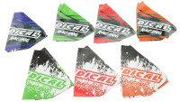 Auspuffanlage Radical Racing Inox Auspuffanlage Radical Racing Inox