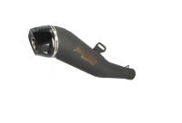 Uitlaatsysteem Radical Racing GP Carbon FORCE Black Line