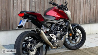 Uitlaatsysteem Radical Racing GP Carbon FORCE