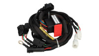 ECU-chiptuningmodule Racedynamics Powertronic V4