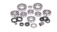 Motorlager & Dichtringsatz OEM Level Motorlager & Dichtringsatz OEM Level
