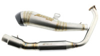 Uitlaatsysteem Radical Racing GP Carbon