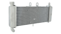 Kühler Piaggio OEM Kühler Piaggio OEM