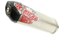 Auspuffanlage Radical Racing Inox Auspuffanlage Radical Racing Inox
