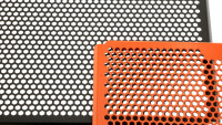 Radical Racing-radiatorrooster Radical Racing-radiatorrooster