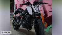Uitlaatsysteem Radical Racing GP Carbon