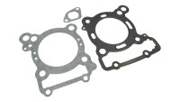 Cilinderkit & tuning-ECU Malossi 166 cc Force Master 2.1