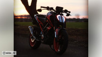 Uitlaatsysteem Radical Racing GP Carbon FORCE