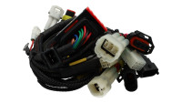 ECU Chiptuning Modul Racedynamics Powertronic V4