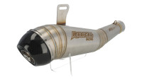 Slip- On Endschalld&auml;mpfer Radical Racing GP Carbon