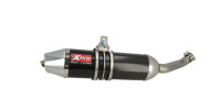 Auspuffanlage XRacing Carbonium