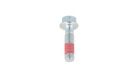 Kettingwiel / remschijfschroef Aprilia OEM Kettingwiel / remschijfschroef Aprilia OEM