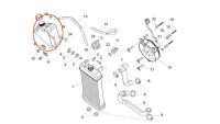 Compensatiereservoir koelsysteem Piaggio OEM