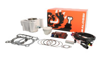 Cilinderkit & tuning-ECU Malossi 166 cc Cilinderkit & tuning-ECU Malossi 166 cc