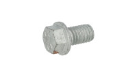 Bevestigingsschroef (ringbout) tandwiel KTM OEM